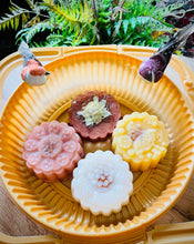 Load image into Gallery viewer, Jello Mooncakes
